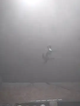 Snapshot of Hott_cutgirl chatting on November 15, 2025, 4:00 pm Hott cutgirl online show from November 15, 2025, 4:00 pm