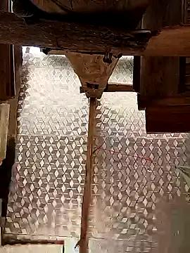 callistra online show from October 30, 2025, 7:28 am