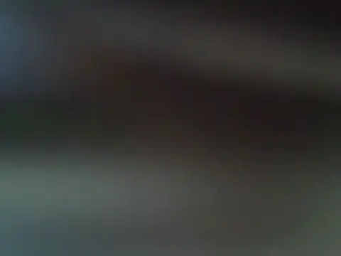 Lina500 online show from October 20, 2025, 8:37 am