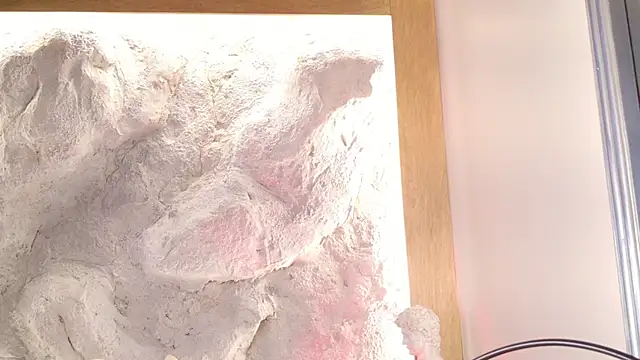 Snapshot of Stellaciel_ chatting on February 28, 2026, 11:04 pm Stellaciel online show from February 28, 2026, 11:04 pm