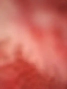 Snapshot of sayeaprayer65 chatting on October 9, 2025, 3:29 am sayeaprayer65 online show from October 9, 2025, 3:29 am