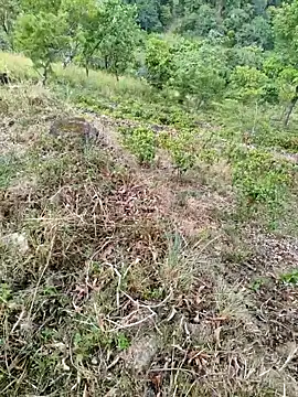 DICKLANKA online show from September 23, 2025, 8:32 am