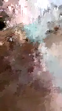 Adidas7217 online show from February 6, 2026, 9:49 am