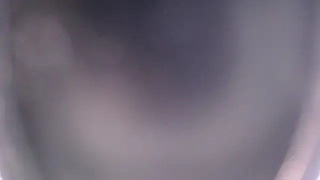 EmilyCley online show from November 14, 2025, 5:55 am