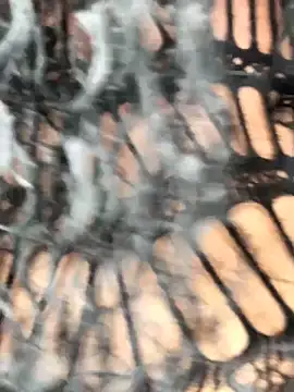 Snapshot of Fun_size86 chatting on December 20, 2025, 5:27 pm Fun size86 online show from December 20, 2025, 5:27 pm