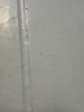 Foxy-lover online show from October 13, 2025, 2:02 am