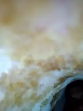 alone boy802 online show from October 30, 2025, 6:23 am