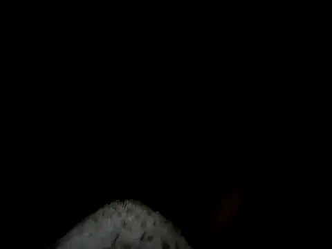 Snapshot of 88heygirlhey88 chatting on October 22, 2025, 6:35 am 88heygirlhey88 online show from October 22, 2025, 6:35 am