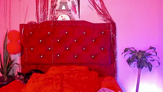 kitty  chs online show from March 1, 2026, 4:34 am