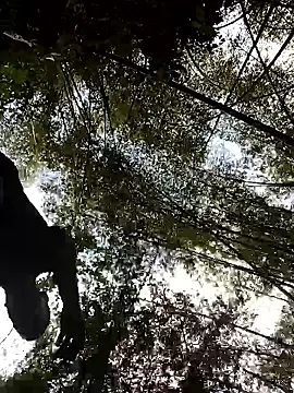 Snapshot of LucasGaeel chatting on April 5, 2026, 8:37 pm LucasGaeel online show from April 5, 2026, 8:37 pm