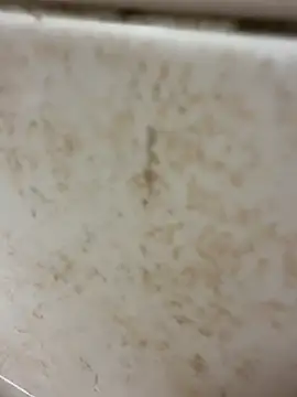 Bryan 1111 online show from November 4, 2025, 12:09 pm