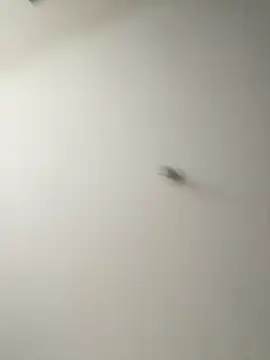 Snapshot of Dania_Oconor chatting on January 6, 2026, 10:14 pm Dania Oconor online show from January 6, 2026, 10:14 pm