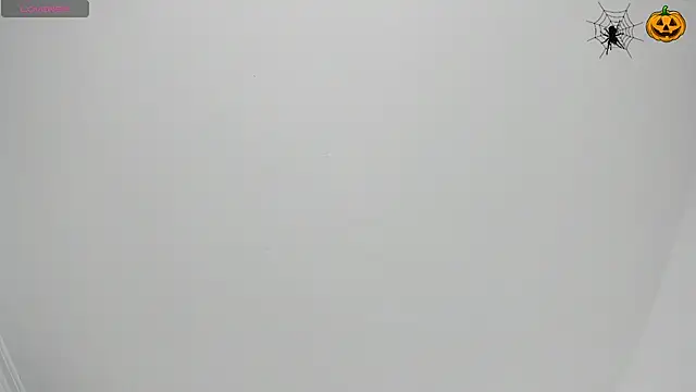 Snapshot of sofi_laane chatting on November 5, 2025, 11:35 am sofi laane online show from November 5, 2025, 11:35 am