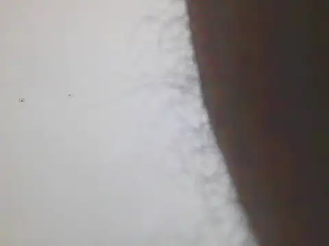 Snapshot of Horny_MALLU_6 chatting on February 7, 2026, 4:37 pm Horny MALLU 6 online show from February 7, 2026, 4:37 pm