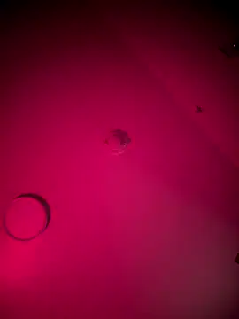 Snapshot of bellacagyal chatting on January 7, 2026, 7:24 am bellacagyal online show from January 7, 2026, 7:24 am