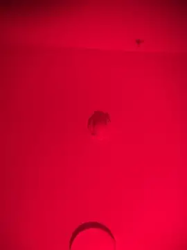 Snapshot of bellacagyal chatting on February 11, 2026, 10:48 am bellacagyal online show from February 11, 2026, 10:48 am