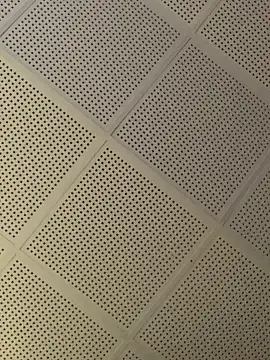 GoldenPussy1329 online show from January 9, 2026, 1:12 am