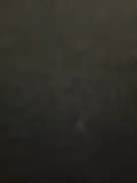 lee ly online show from December 15, 2025, 11:38 am