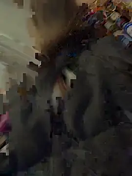 silentasachurchmouse online show from December 3, 2025, 4:17 pm