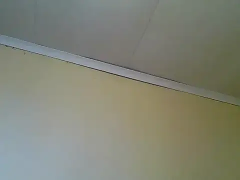 carrie tee online show from November 11, 2025, 8:42 am