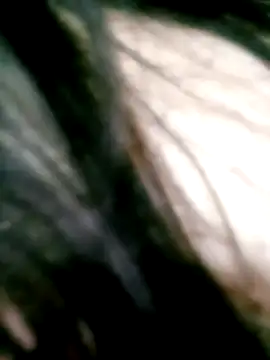 Snapshot of Apeesynka55211 chatting on April 9, 2026, 8:15 pm Apeesynka55211 online show from April 9, 2026, 8:15 pm