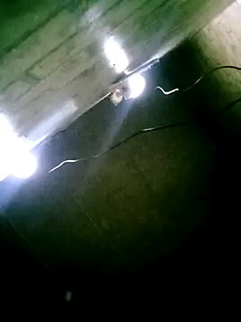 Snapshot of Apeesynka55211 chatting on March 14, 2026, 3:56 am Apeesynka55211 online show from March 14, 2026, 3:56 am