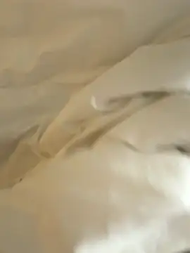 Snapshot of HenryLee1983-cums chatting on November 28, 2025, 12:44 am HenryLee1983-cums online show from November 28, 2025, 12:44 am