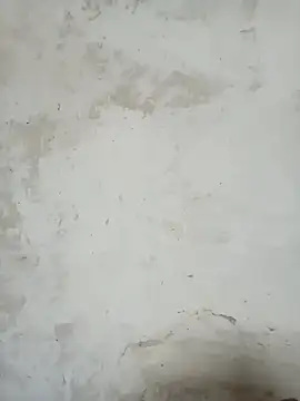 LOVE-VIKA online show from February 20, 2026, 2:52 am