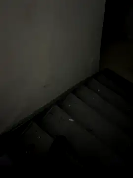 ayrtonmen online show from November 14, 2025, 2:43 pm