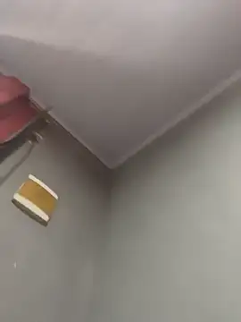 Priihmedeiros online show from December 20, 2025, 11:13 am