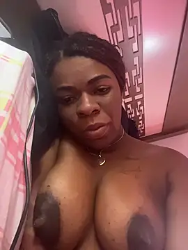 Priihmedeiros online show from March 13, 2026, 12:10 pm