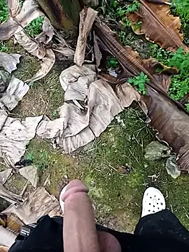 Sikici0734 online show from November 11, 2025, 2:01 pm