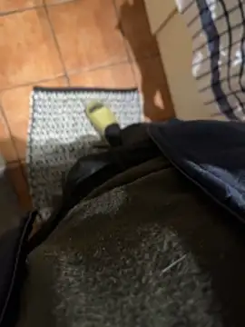 4dagals online show from April 1, 2026, 5:42 am