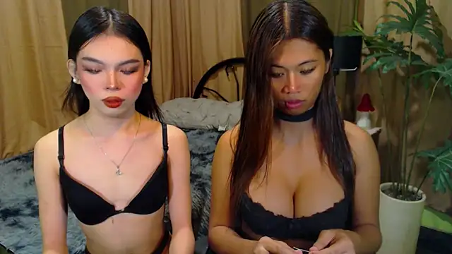 TWINKTRANSSHANEL online show from October 12, 2025, 4:36 am