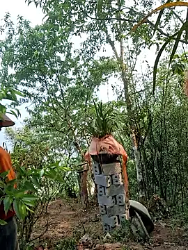 Snapshot of miomio-12 chatting on April 15, 2026, 2:06 am miomio-12 online show from April 15, 2026, 2:06 am