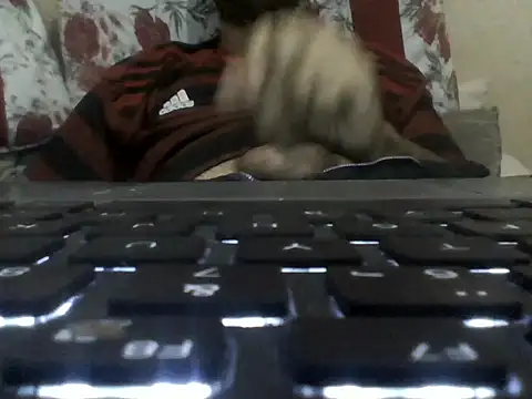 Snapshot of brunnosilva30 chatting on October 30, 2025, 1:04 am brunnosilva30 online show from October 30, 2025, 1:04 am