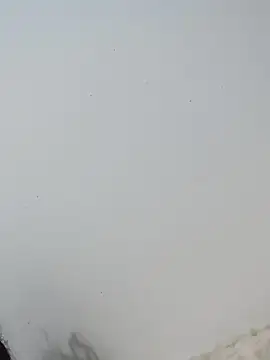 Snapshot of _Bella_Beth_ chatting on December 2, 2025, 12:55 am Bella Beth online show from December 2, 2025, 12:55 am