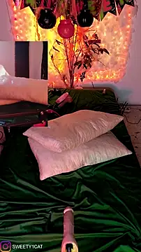 SweetyCatt1 online show from October 24, 2025, 11:48 pm