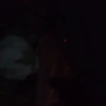 Snapshot of Aragis35 chatting on December 5, 2025, 6:56 am Aragis35 online show from December 5, 2025, 6:56 am