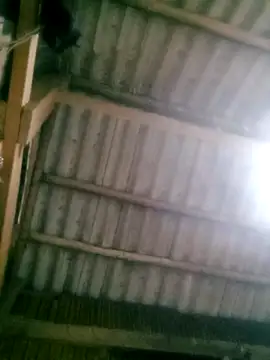 Snapshot of Ducky27021991 chatting on October 18, 2025, 12:18 pm Ducky27021991 online show from October 18, 2025, 12:18 pm