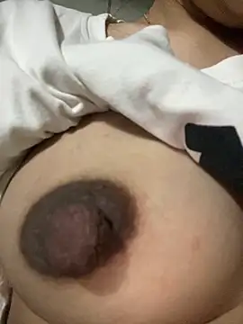 -Harper- online show from November 11, 2025, 3:01 am