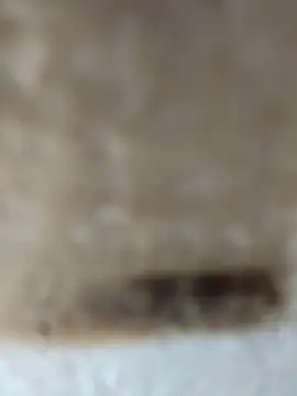 Cr sonam online show from November 24, 2025, 11:27 pm