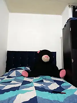 Snapshot of Nelsareth chatting on January 10, 2026, 11:27 am Nelsareth online show from January 10, 2026, 11:27 am