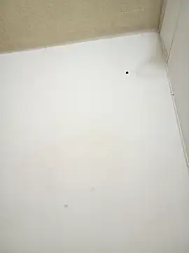 Snapshot of Nelsareth chatting on February 14, 2026, 5:51 am Nelsareth online show from February 14, 2026, 5:51 am