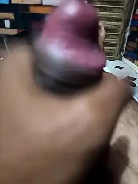 siddBus online show from October 11, 2025, 1:45 pm