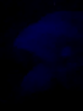 Snapshot of sexdol2 chatting on July 25, 2026, 3:58 am sexdol2 online show from July 25, 2026, 3:58 am