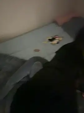 Snapshot of MISA_02 chatting on February 9, 2026, 10:02 am MISA 02 online show from February 9, 2026, 10:02 am