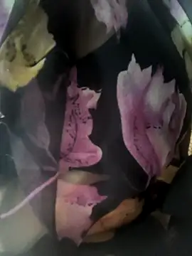 Snapshot of rasmi_powar chatting on November 7, 2025, 3:27 pm rasmi powar online show from November 7, 2025, 3:27 pm