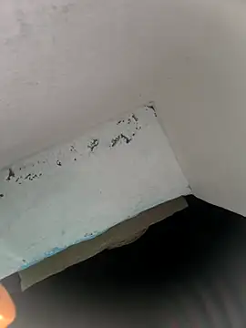 Snapshot of rasmi_powar chatting on November 8, 2025, 11:08 pm rasmi powar online show from November 8, 2025, 11:08 pm