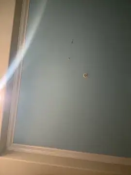 sniper2801 online show from November 1, 2025, 1:56 am